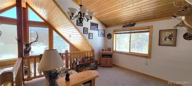 1321 Bristlecone Road Guffey, CO 80820