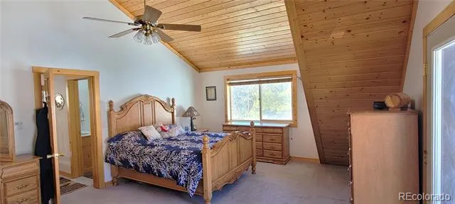 1321 Bristlecone Road Guffey, CO 80820