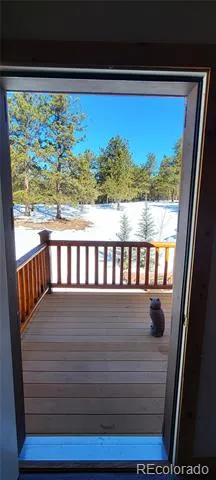 1321 Bristlecone Road Guffey, CO 80820