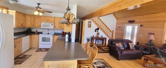 1321 Bristlecone Road Guffey, CO 80820