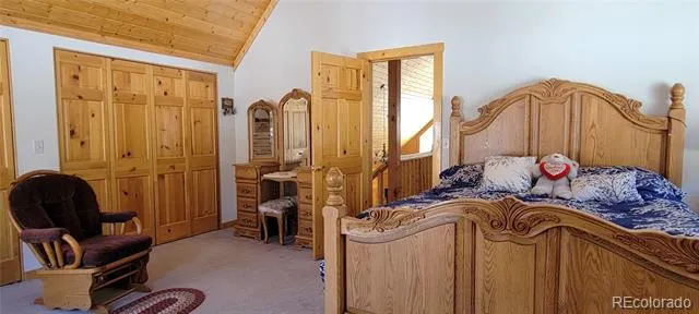 1321 Bristlecone Road Guffey, CO 80820