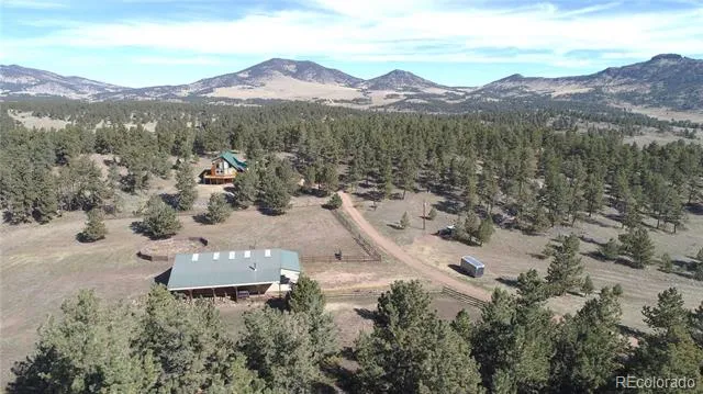 1321 Bristlecone Road Guffey, CO 80820