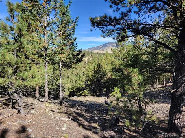 1321 Bristlecone Road Guffey, CO 80820