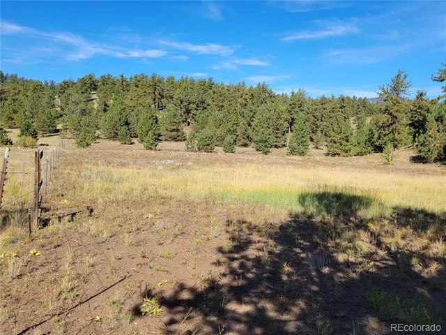 1321 Bristlecone Road Guffey, CO 80820
