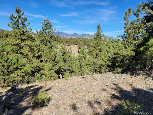 1321 Bristlecone Road Guffey, CO 80820