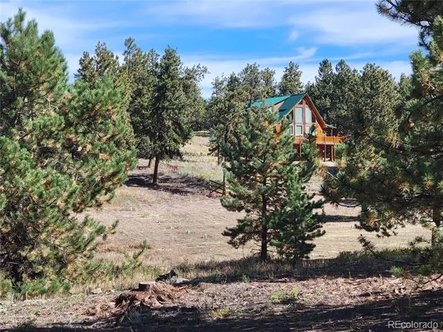 1321 Bristlecone Road Guffey, CO 80820