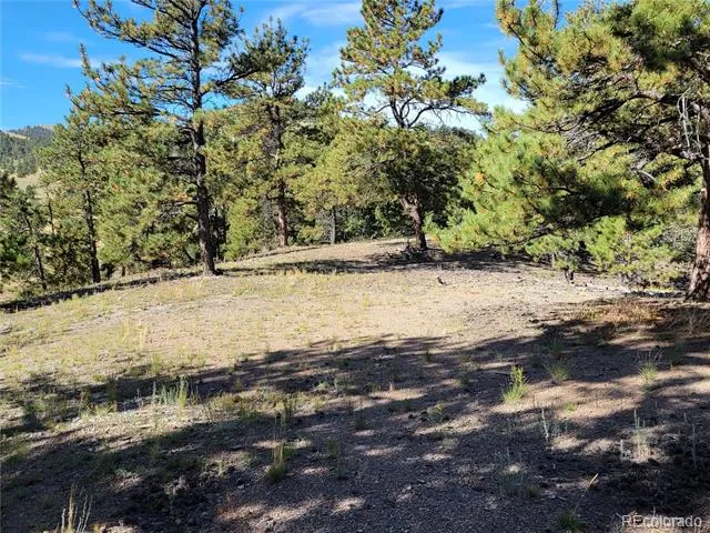 1321 Bristlecone Road Guffey, CO 80820