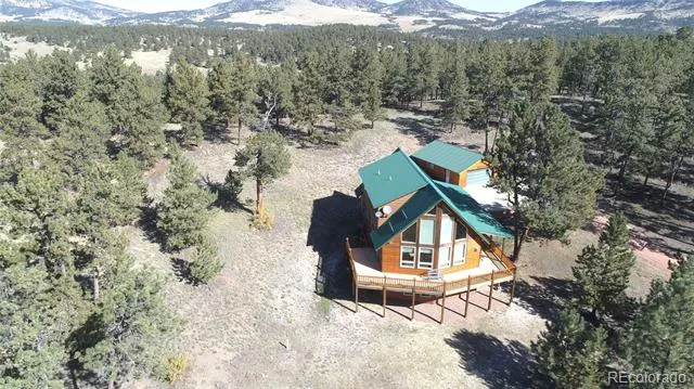 1321 Bristlecone Road Guffey, CO 80820