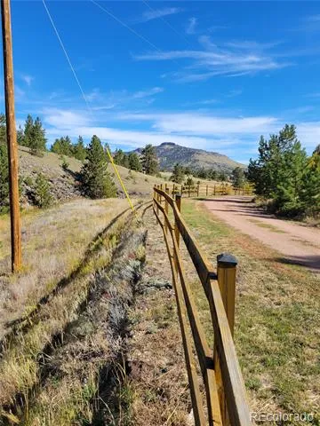 1321 Bristlecone Road Guffey, CO 80820
