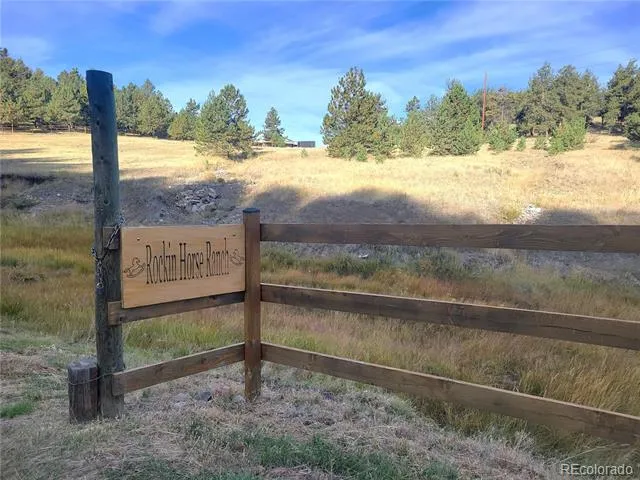 1321 Bristlecone Road Guffey, CO 80820