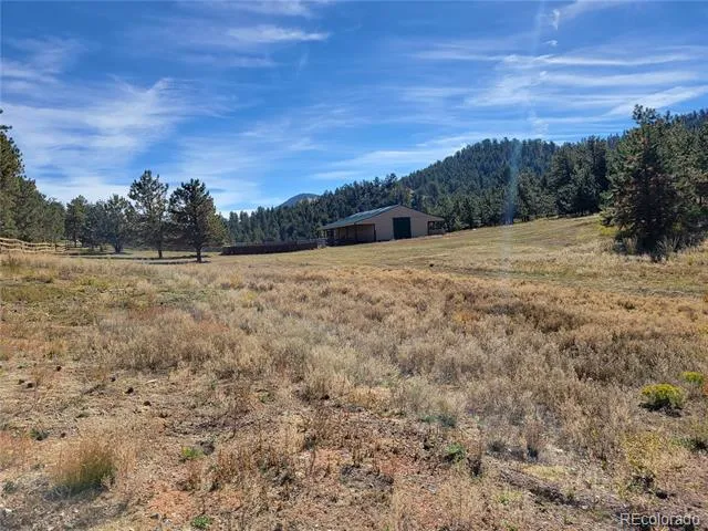1321 Bristlecone Road Guffey, CO 80820