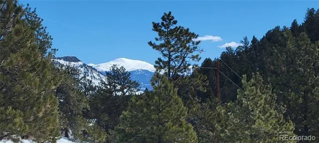 1321 Bristlecone Road Guffey, CO 80820