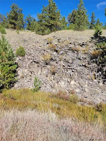 1321 Bristlecone Road Guffey, CO 80820