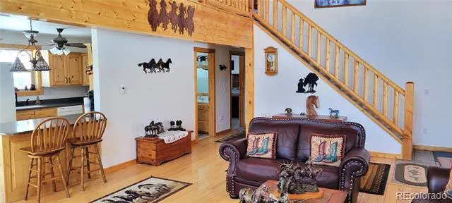 1321 Bristlecone Road Guffey, CO 80820