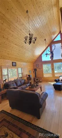 1321 Bristlecone Road Guffey, CO 80820