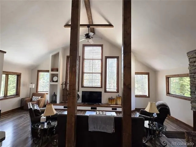 1561 Prunes Place Fairplay, CO 80440