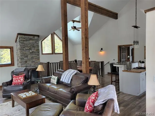 1561 Prunes Place Fairplay, CO 80440