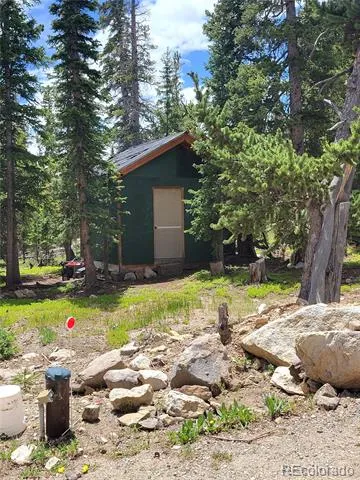 1561 Prunes Place Fairplay, CO 80440
