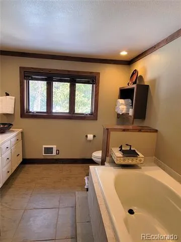 1561 Prunes Place Fairplay, CO 80440