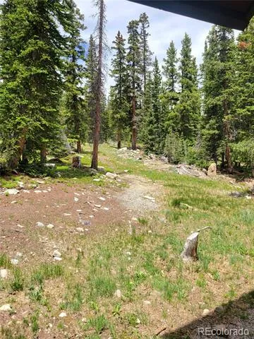 1561 Prunes Place Fairplay, CO 80440