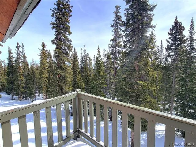 1561 Prunes Place Fairplay, CO 80440