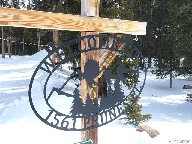 1561 Prunes Place Fairplay, CO 80440