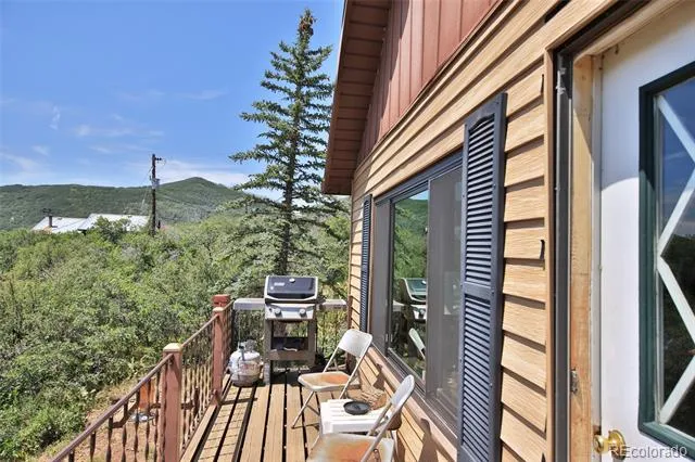 15699 Aspen Glenn Lane Collbran, CO 81624