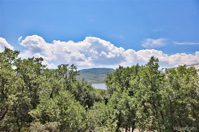 15699 Aspen Glenn Lane Collbran, CO 81624