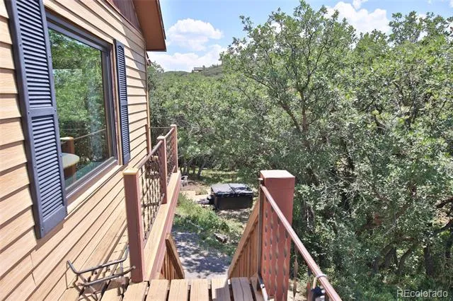 15699 Aspen Glenn Lane Collbran, CO 81624