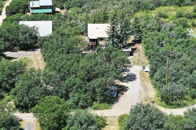 15699 Aspen Glenn Lane Collbran, CO 81624
