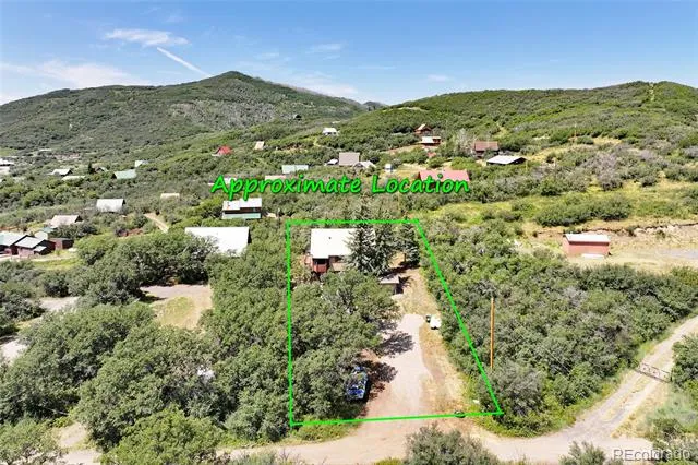 15699 Aspen Glenn Lane Collbran, CO 81624