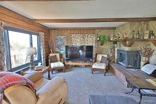 15699 Aspen Glenn Lane Collbran, CO 81624