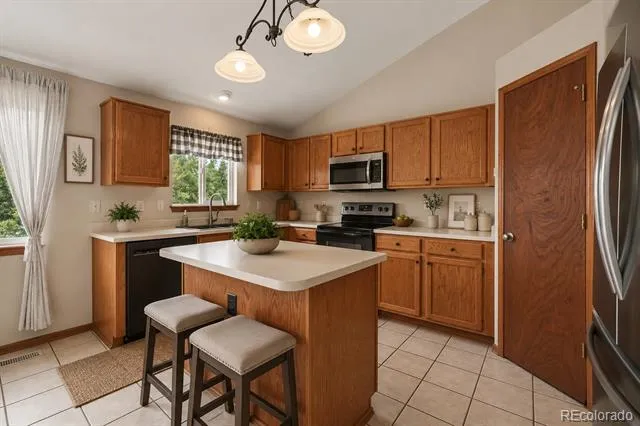 11441 Lima Court Henderson, CO 80640