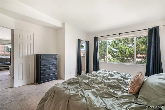 92 Luxury Lane Colorado Springs, CO 80921