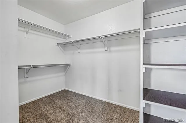 8645 Torrey Street Arvada, CO 80007