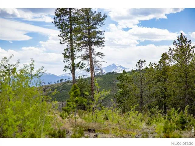 805 Meadows Drive Drake, CO 80515
