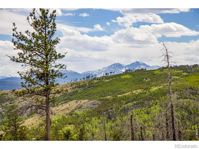 805 Meadows Drive Drake, CO 80515
