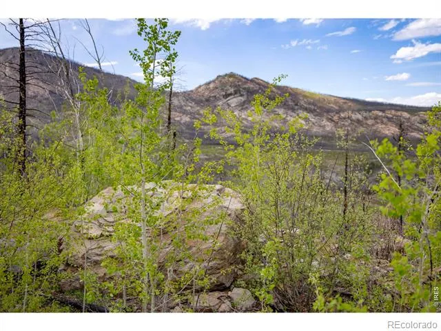 805 Meadows Drive Drake, CO 80515