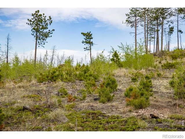 805 Meadows Drive Drake, CO 80515