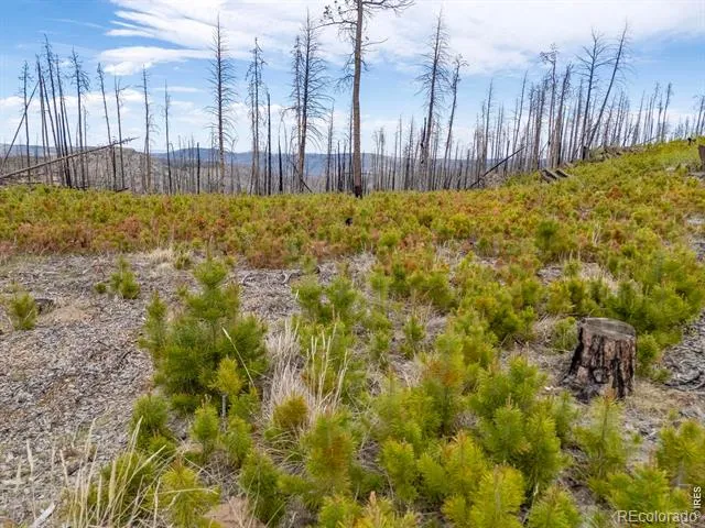 805 Meadows Drive Drake, CO 80515
