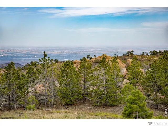 805 Meadows Drive Drake, CO 80515