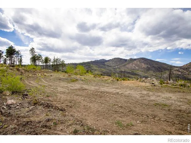 805 Meadows Drive Drake, CO 80515