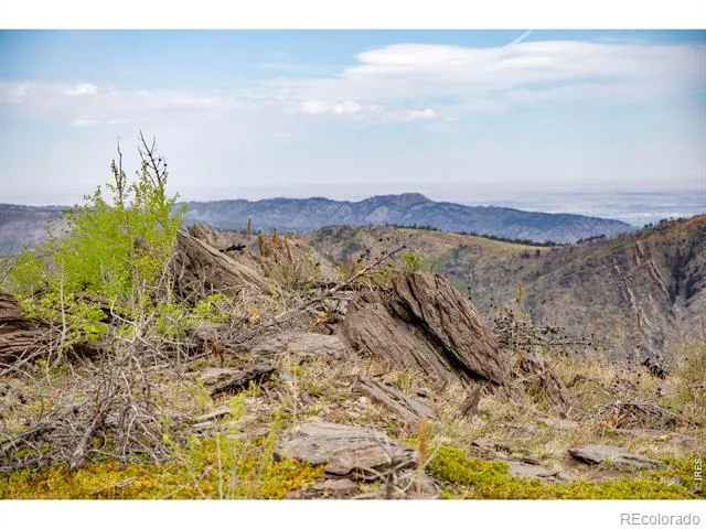 805 Meadows Drive Drake, CO 80515