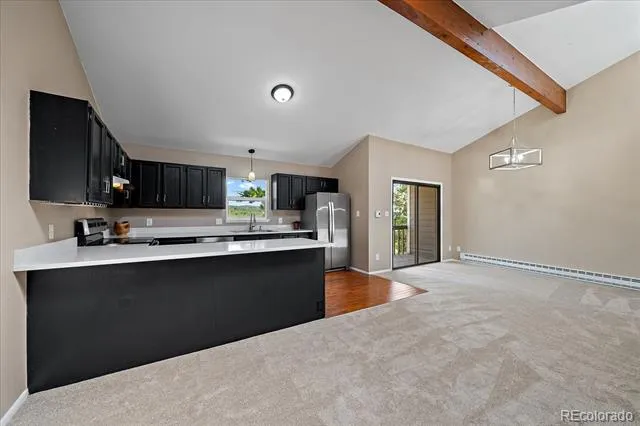 30787 Hilltop Drive Evergreen, CO 80439