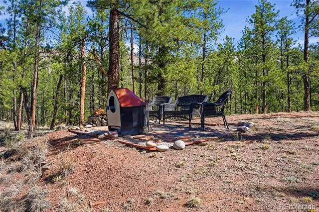 16510 Great Divide Trail Pine, CO 80470