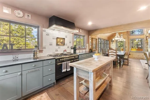 115 Willow Lane Breckenridge, CO 80424