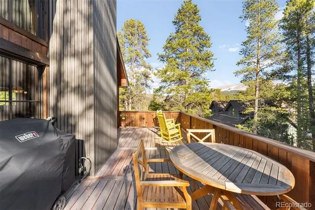 115 Willow Lane Breckenridge, CO 80424