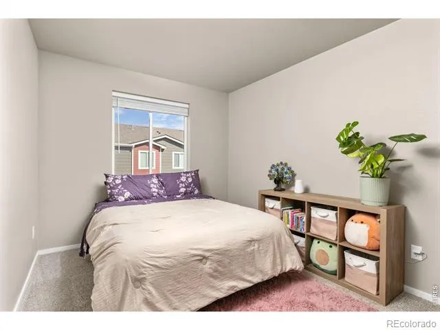 3663 Ronald Reagan Avenue Wellington, CO 80549