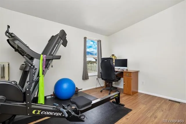 172 Susan Drive Buena Vista, CO 81211