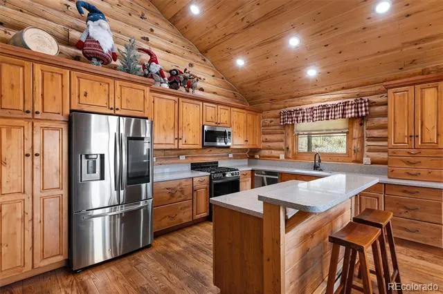 9110 Mountain Road Cascade, CO 80809